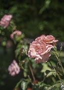 Foto Residenza Cascina Crocefisso
