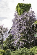Foto Residenza Cascina Crocefisso